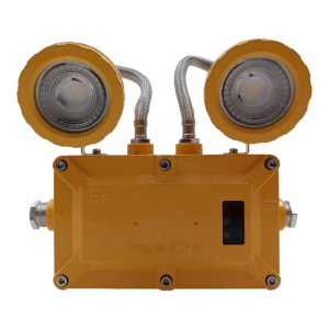 Double Head IP67 LED Rechargeable Explosion-proof Emergency Light with Twin Spot Head Lamp